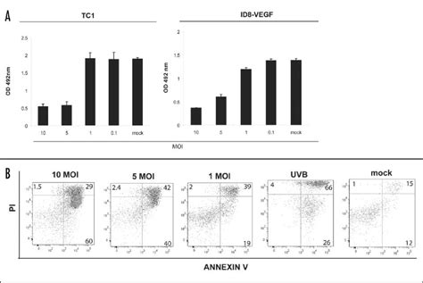 Cytotoxic Effect Of HSVd120 In Vitro A TC 1 Or ID8 Vegf Cells Were