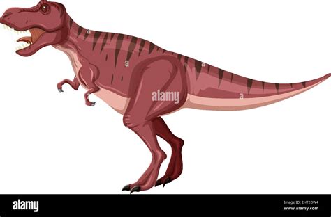 Dinosaurio Tyrannosaurus Rex Sobre Fondo Blanco Ilustraci N Imagen