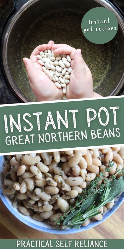 Instant pot great northern beans – Artofit