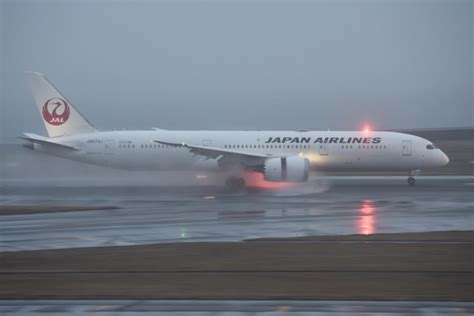 機体記号 Ja874j Jal 航空機体ガイド Flyteamフライチーム