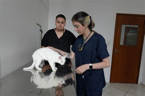 Hospital Animal de Guarulhos inicia atendimentos gratuitos a cães e