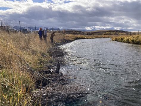 New ecological restoration projects will protect the salem willows shoreline 28