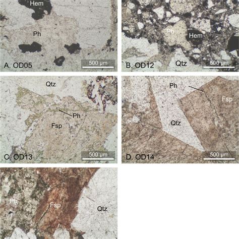 Photomicrographs Of Thin Sections Of Phengite Bearing Rocks From