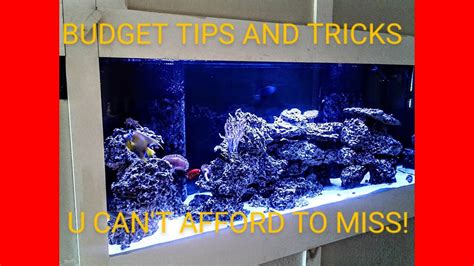 Reef Tank Maintenance Tips And Tricks Youtube