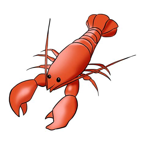 How To Draw A Lobster Really Easy Drawing Tutorial