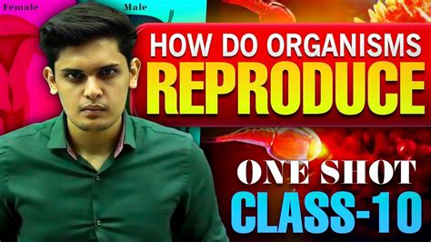 How Do Organisms Reproduce Complete Chapter Class Th Science Ncert