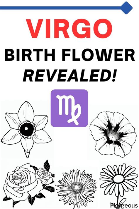 Discover The Beauty Of The Virgo Birth Flower