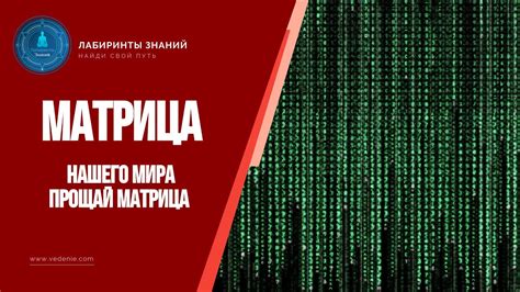Матрица нашего мира | Прощай матрица - Лабиринты Знаний - YouTube