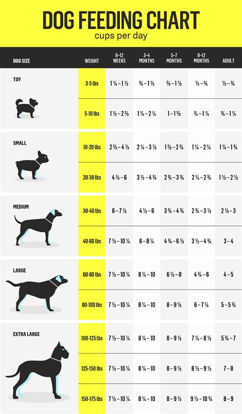 Printable Dog Feeding Chart - Printable Word Searches