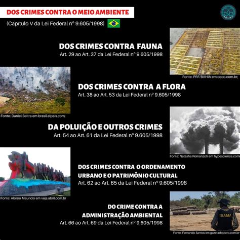 Crimes Ambientais No Brasil - 8
