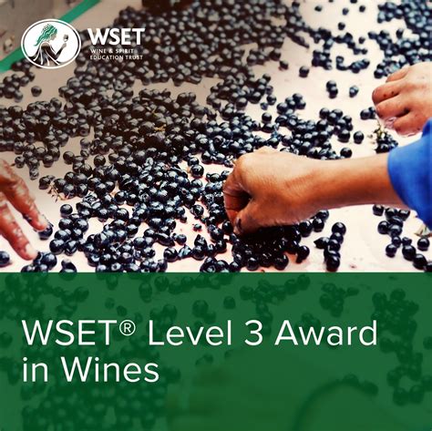 WSET Wine Courses — The Wine And Spirit Archive, Portland Oregon Wine ...