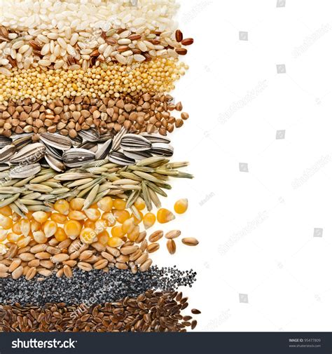 Cereal Grains And Seeds Rye Wheat Barley Oat Sunflower Corn