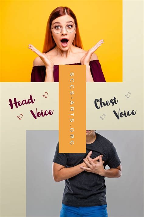 head voice  chest voice choral society  voice choral