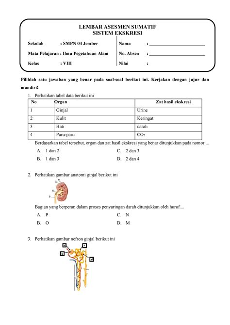 Contoh Tes Sumatif Sistem Ekskresi Pilihlah Satu Jawaban Yang Benar Pada Soal Soal Berikut Ini