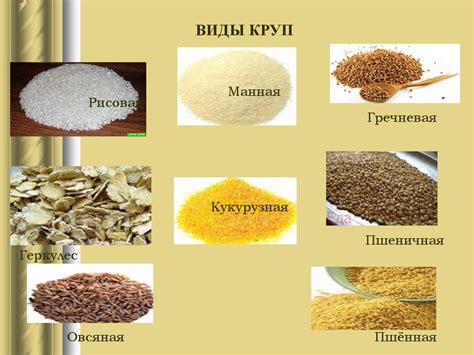 Приготовление блюд и гарниров из круп, бобовых и макаронных изделий ...