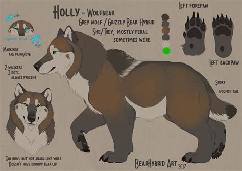 Bear Wolf Hybrid | New wolfbear reference by Bear-hybrid on DeviantArt ...