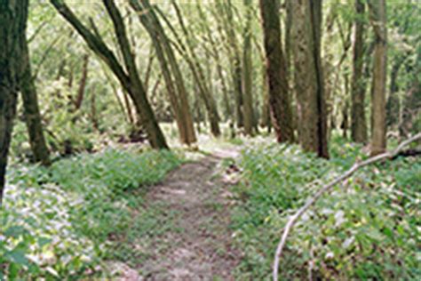 Minnesota Seasons Minnesota Valley National Wildlife Refuge