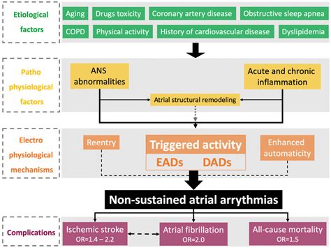 Premature Atrial Contractions Vs Premature Ventricular Contractions