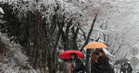 Forte nevão no norte de Inglaterra causa estragos nas estradas e corta