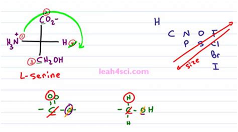 Video Transcript : Fischer Projection Stereochemistry