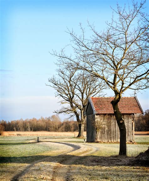 Fotos gratis paisaje árbol naturaleza césped arquitectura planta