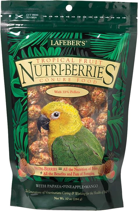 Amazon Lafeber Tropical Fruit Nutri Berries Conure Food Made