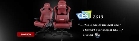 Home Anda Seat Canada Official Website Best Gaming Chair