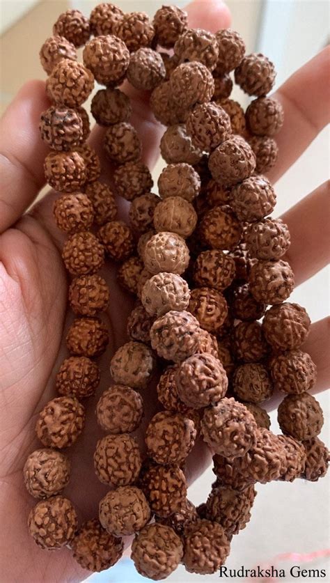rudraksha beads  mm natural rudraksha beads loose rudraksh beads