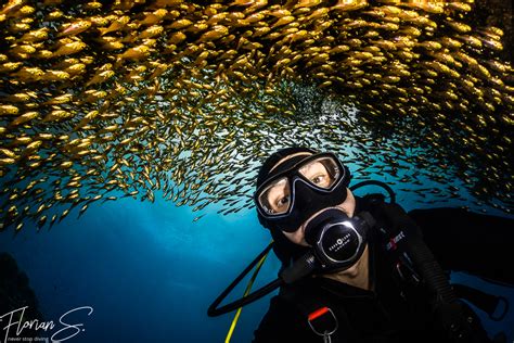 Featured Underwater Photographer Florian Scarlat Mozaik UW