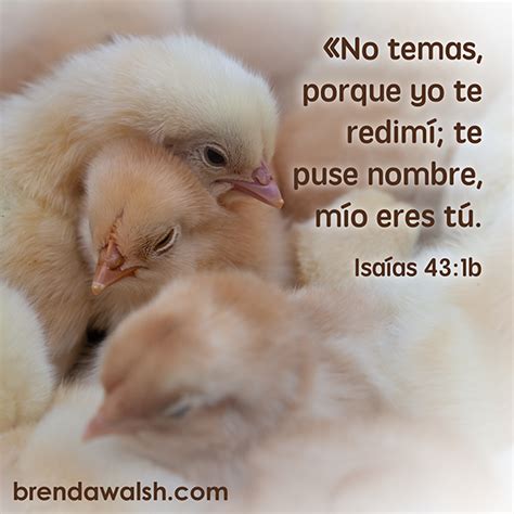 Isaias 43 1 Brenda Walsh Scripture Images