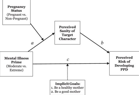 Conceptual Diagram Of Hypothesized Moderated Mediation Model In This