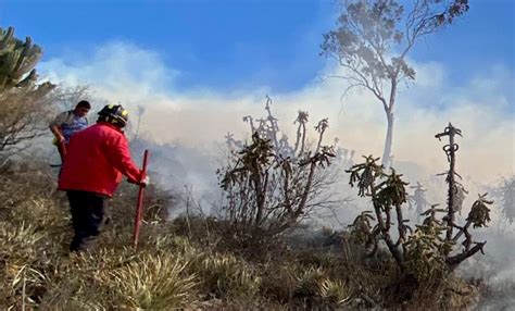 En 13 Incendios Pierde Hidalgo 39 Hectáreas Forestales Durante Este Año El Universal Hidalgo