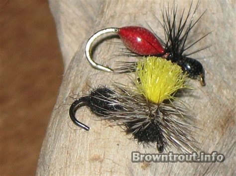 Fishing Ant Fly Patterns The Transpar Ant And The Parachute