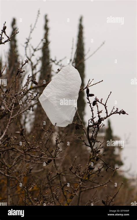 Plastic Bag Tree Hi Res Stock Photography And Images Alamy