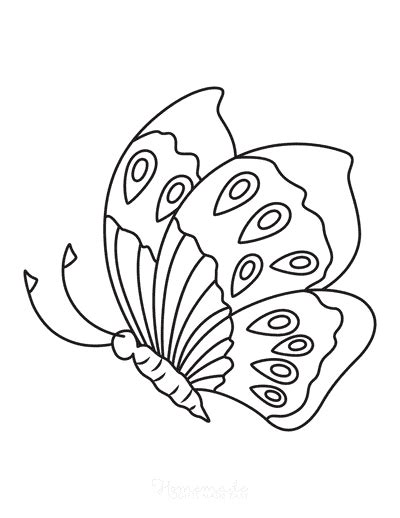 Easy Simple Butterfly Drawings Side View - bmp-all