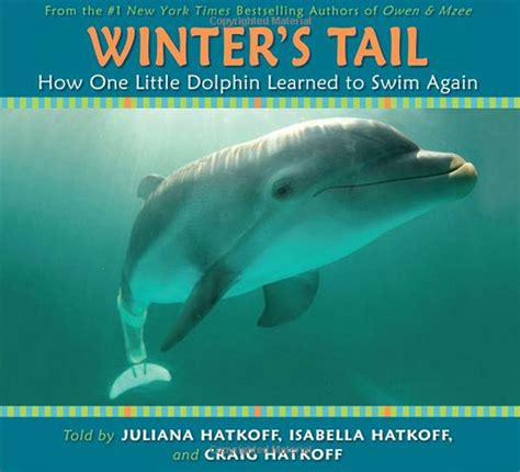 Winter The Dolphin Archives Fuzzy Today