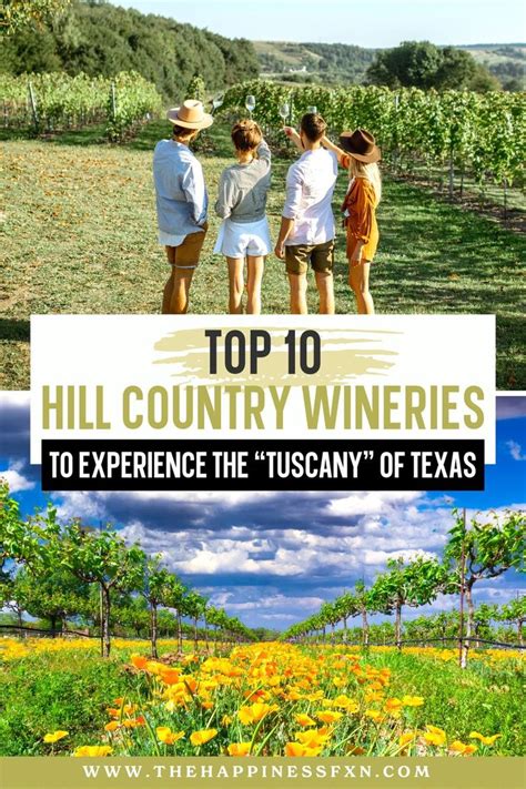 Top Hill Country Wineries To Experience The Tuscany Of Texas The Happiness Function In 2024