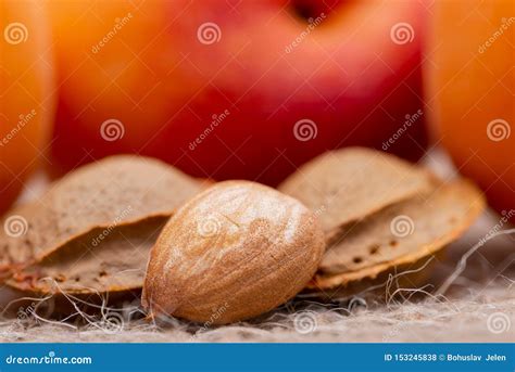 Fresh Organic Apricots And Apricot Kernels The Seed Of An Apricot