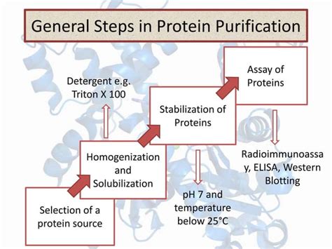 Protein purification techniques | PPT