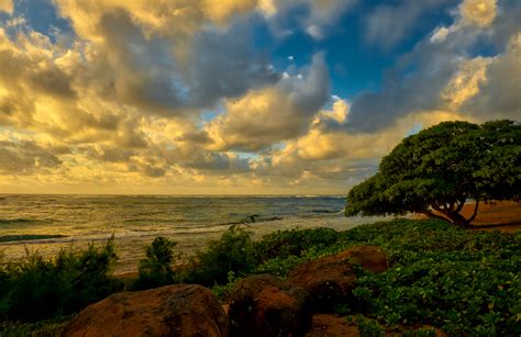 What Karen Sees: Kauai Sunrise