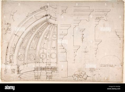 San Pietro La Cupola E Il Tamburo Interno E Sezione Di Elevazione Ed