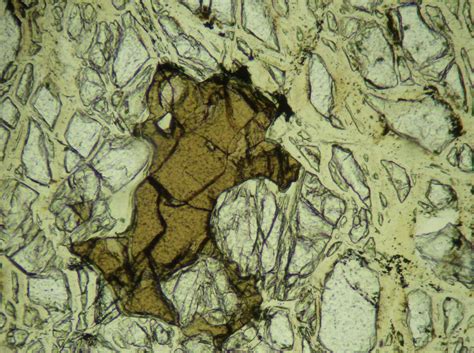 Serpentinite Thin Section