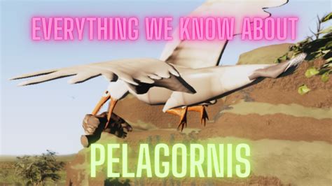 Everything We Know About Pelagornis In Roblox Sapien Youtube