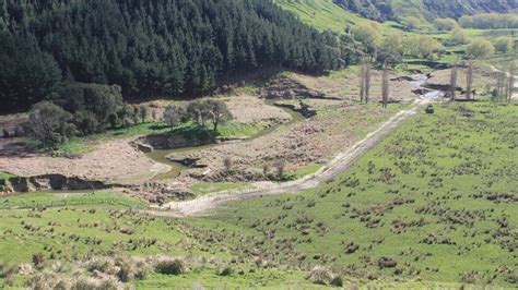 A Worldwide Example How The Whangawehi River On The Mahia Peninsula