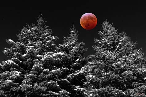 Super Blood Wolf Moon Photograph By Brad Brailsford Fine Art America