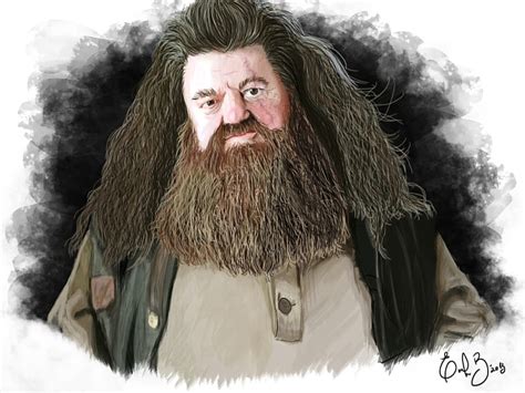 Rubeus Hagrid HD Wallpaper Pxfuel