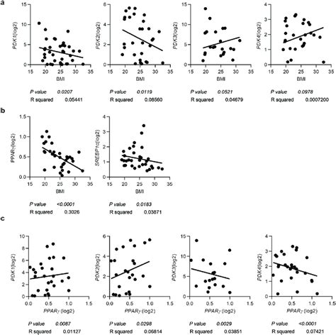 Pdk1 And Pdk2 Expression Levels Are Decreased In Human Visceral Adipose Download Scientific