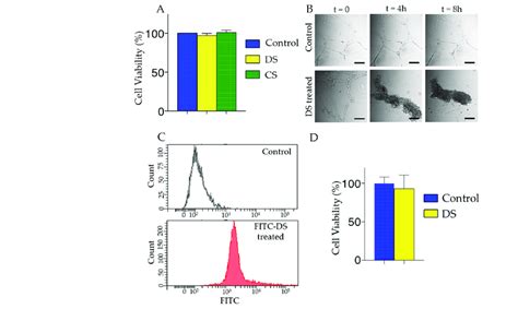 In Vitro Cytotoxicity And Cell Viability A Evaluation In Human