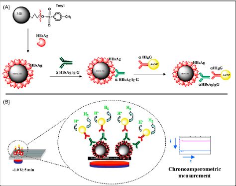 Microparticle Enzyme Immunoassay Semantic Scholar