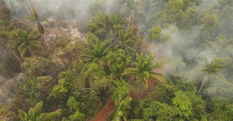 La Guerra Por Tierras Cocaleras En Bolivia Y La Cruda Confesión De Evo Morales “si No